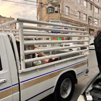 باربند نیسان معاوضه هم با جویباری هم دارم