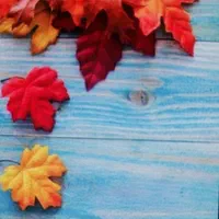 خدمات رنگکاری ونقاشی گلستان(گرگان و کل استان)|خدمات پیشه و مهارت|گرگان, |دیوار