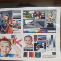 Epson 1410|پرینتر، اسکنر، کپی، فکس|کرمان, |دیوار