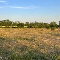 زمین کشاورزی ، باغی