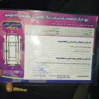 تیبا ۲بیرنگ همراه با کارشناسی رنگ