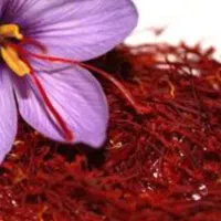 زعفران درجه ۱ فاروج