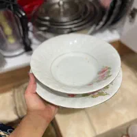 ماهی خوری و سینی|ظروف سرو و پذیرایی|رشت, سلیمانداراب|دیوار