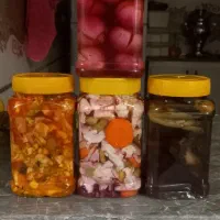 انواع ترشی خانگی درجه یک