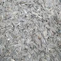 اجیل تخمه سنتی|خوردنی و آشامیدنی|یزد, |دیوار