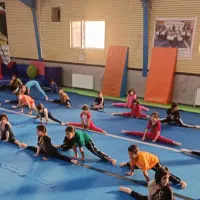 باشگاه ژیمناستیک
