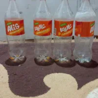 بانکه  نوشابه فروشی