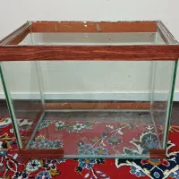 آکواریوم