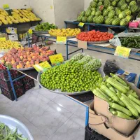 مغازه-میوه-فروشی-شهرری-جوانمرد-قصاب