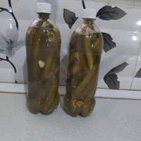خیارشور ویژه|خوردنی و آشامیدنی|مشهد, گلبرگ شمالی|دیوار