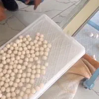 دستگاه گرد کن کشک|ماشینآلات صنعتی|یزد, |دیوار