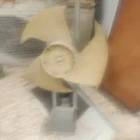 فن با پروانه
