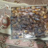 خرما زاهدی