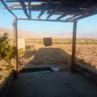 زمین فروشی|فروش زمین و ملک کلنگی|برزک, |دیوار