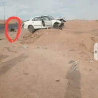 سمند دوگانه شرکتی مدل ۹۵