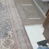 فرش، مبل،|فرش|رشت, هلال احمر|دیوار