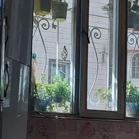 اجاره آپارتمان