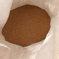 بذر یونجه محلی