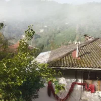 1300خانه محوطه سند تک برگ دل جنگهای هیرکانی|فروش خانه و ویلا|احمدسرگوراب, |دیوار