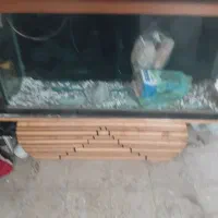 اکواریم بزرگ