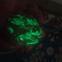 گوهر شب چراغ