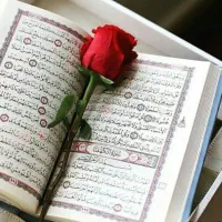 کتاب علوم غریبه