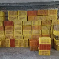 سبد میوه|ظروف نگهدارنده، پلاستیکی، یکبارمصرف|سراب, |دیوار