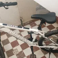 ویگو
