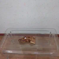 جلومبلی|مبلمان خانگی و میز عسلی|رشت, حمیدیان|دیوار