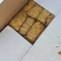 برگ زرد|عمدهفروشی|کاکی, |دیوار