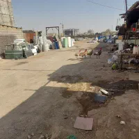 سه عدد بوقلمون نژادبلژیکی|حیوانات مزرعه|شیراز, شهرک امیر کبیر|دیوار