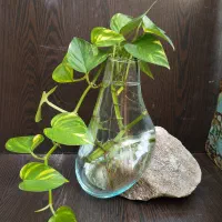 گلدان شیشه ای بر روی سنگ نمک