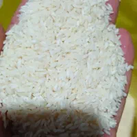 برنج عنبر بو معطر ایرانی|خوردنی و آشامیدنی|ساری, |دیوار