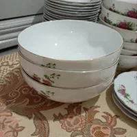 چینی گل سرخ|ظروف سرو و پذیرایی|قم, قلعه کامکار|دیوار