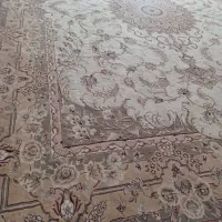 فرش 12متری|فرش|شوشتر, |دیوار