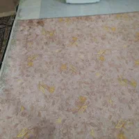 فروش موکت|موکت|مرودشت, سهل‌آباد|دیوار