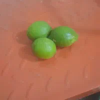 لیمو ترش