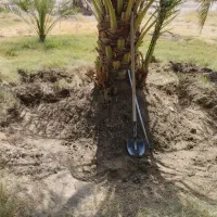 خدمات باغبانی خانگی وکشاورزی