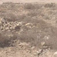 زمین کشاورزی|فروش دفتر صنعتی، کشاورزی، تجاری|اهواز, اهواز|دیوار