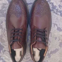 کفش رسمی و مردانه اکو ecco