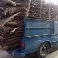 خریدو برش چوب|خدمات باغبانی و درختکاری|میاندوآب, |دیوار