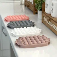 قالب یخ و ژله