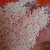 برنج دم سیاه (صدری) دودی