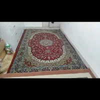 فرش نگین مشهد 6متری|فرش|نیشابور, جمهوری|دیوار