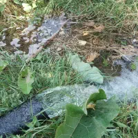 فروش ۳ هکتار زمین پرآب وحاصلخیز برای سرمایه گذاری