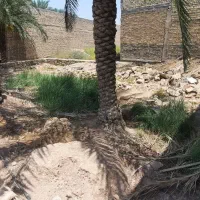 فروش فوری زمین