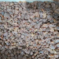 کشمش درجه ۱و۲|خوردنی و آشامیدنی|اهواز, نادری|دیوار