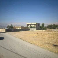 زمین-موردراز-رهبر