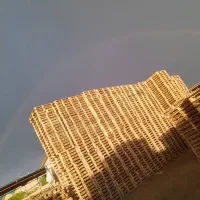 پالت ساز حرفه ای وکارگر ساده و اره کار  و لنت کار