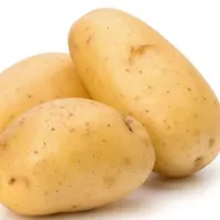 سیب‌زمینی تازه